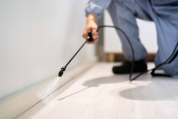 Licensed Termite Control service in Springfield, TN - Nex Pest Control