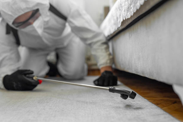 Professional Termite Control technician working in Springfield, TN