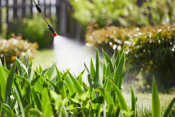 24/7 Emergency Termite Control experts in Springfield, TN