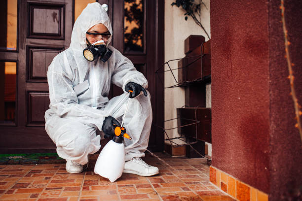 Reliable Termite Control contractor in Springfield, TN by Nex Pest Control