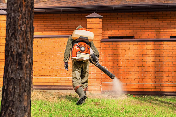 Top rated local Termite Control specialists in Springfield, TN